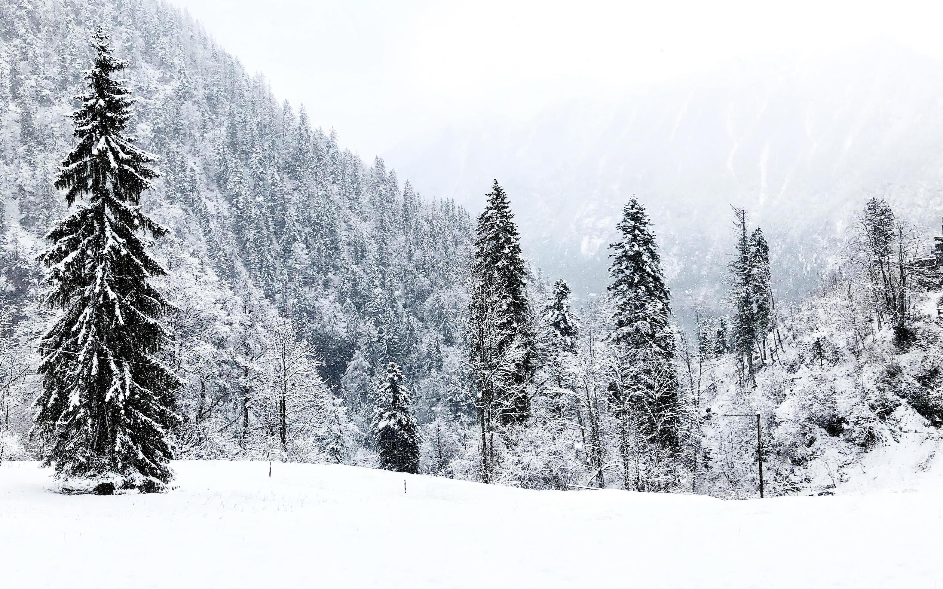 Hallstatt Winter snow mountain landscape the pine forest in upland valley leads to the old salt mine of Hallstatt in snowy day, Austria Stock Free