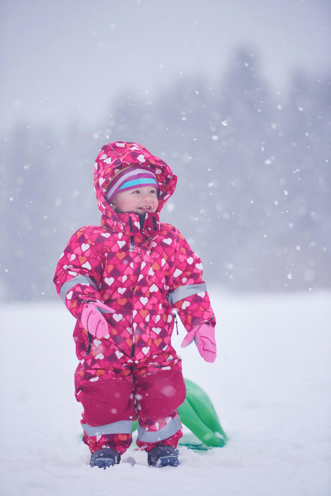 Family in winter landscape Stock Free