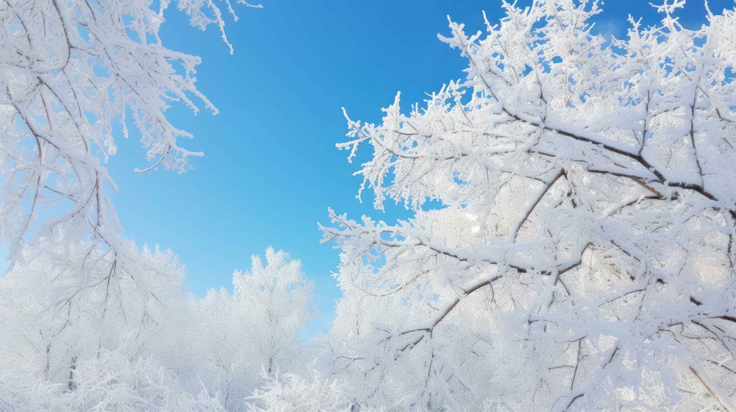 A winter scene with a tree against the sky. Generative AI Free Photo