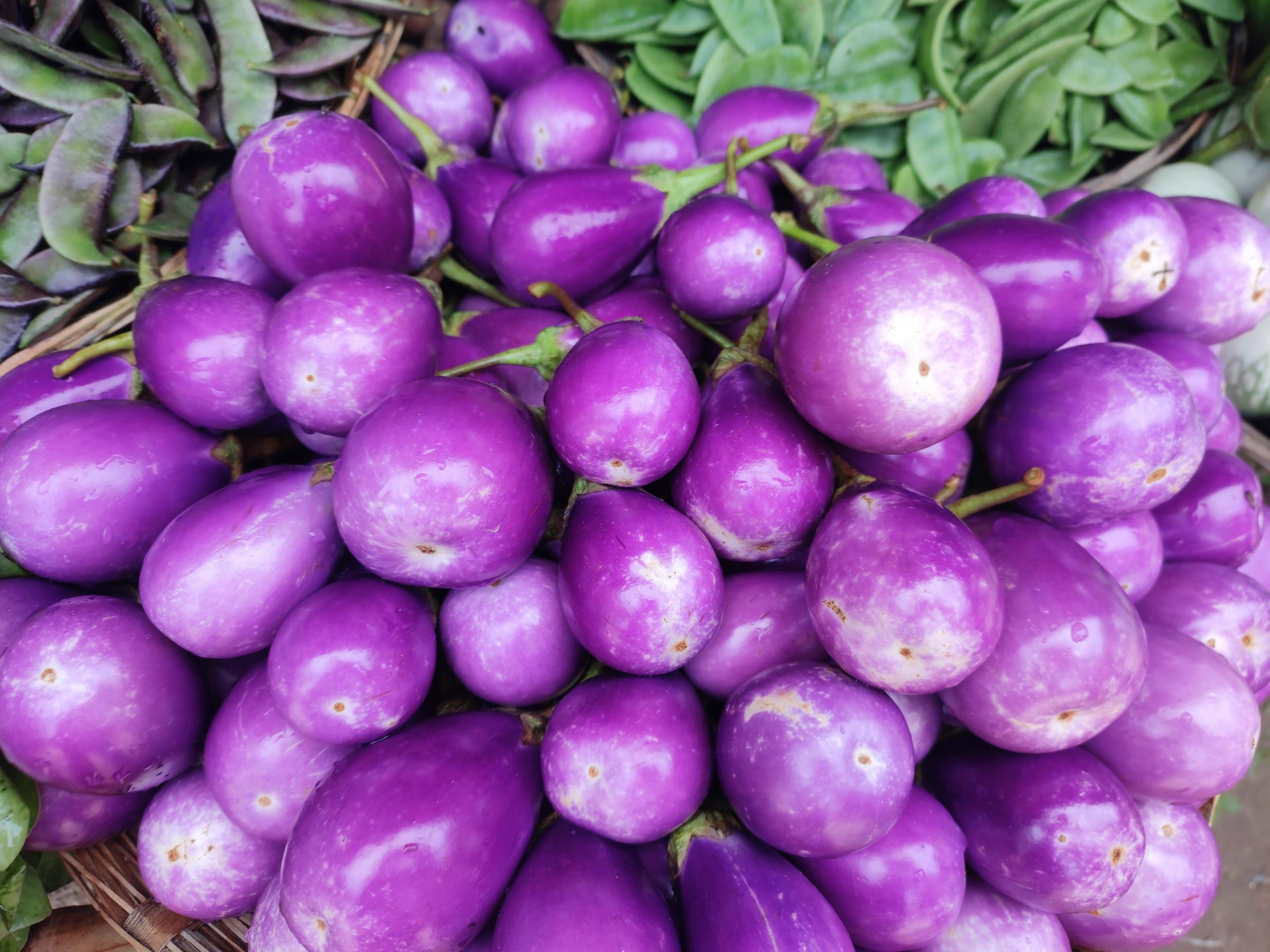 Eggplant aubergine. Brinjal. It is a plant species in the nightshade family Solanaceae. Stock Free