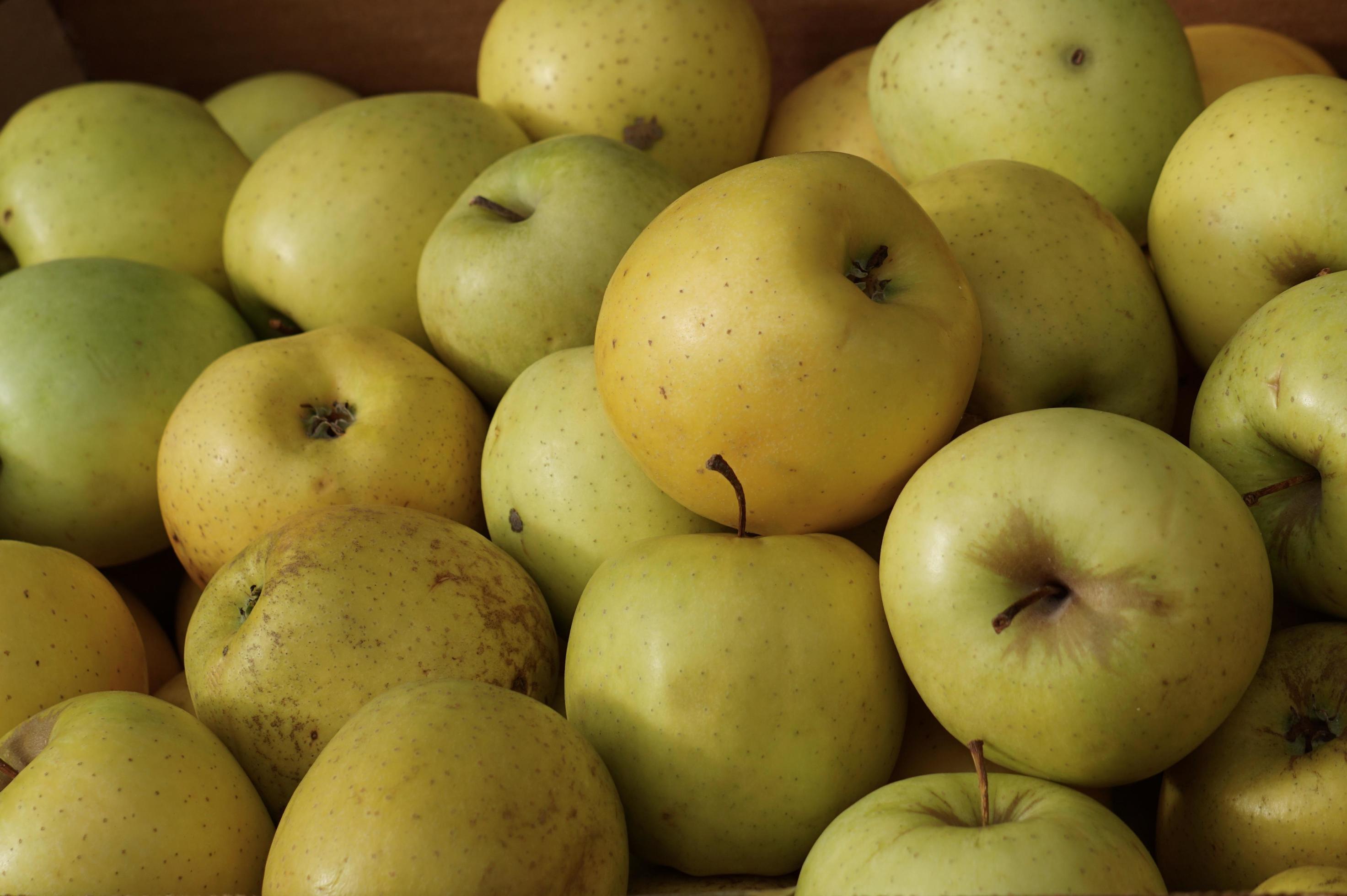 
									Green apple fruit, healthy and tasty food Stock Free