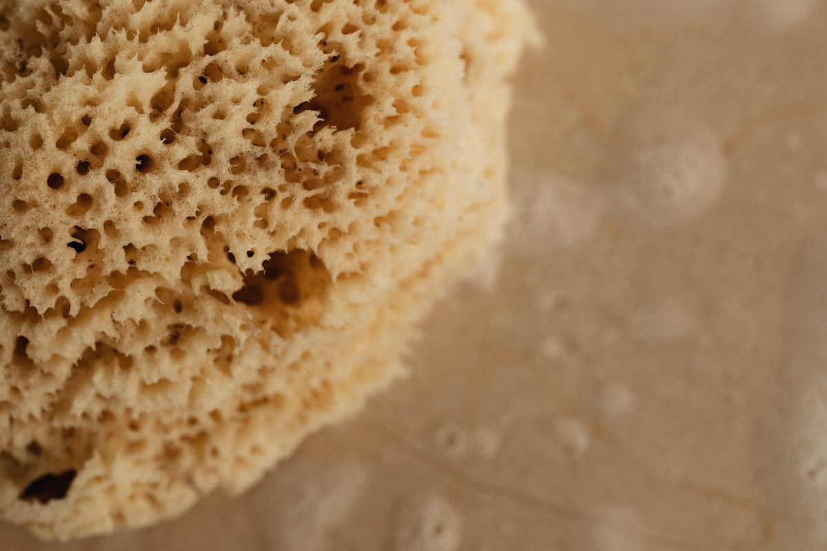 
									Organic hygiene products – solid soap bar with natural sea sponge Stock Free
