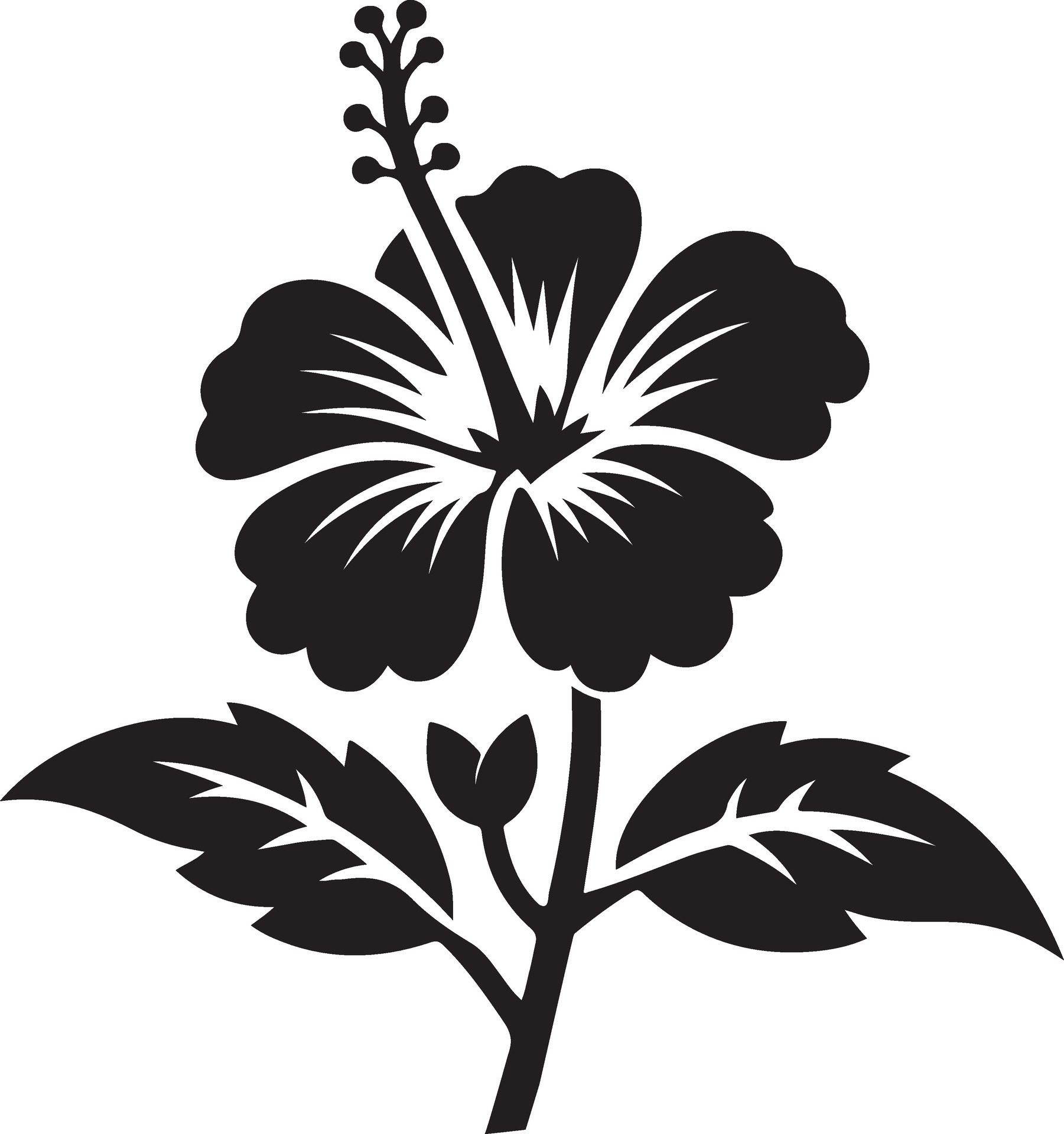 Hibiscus Flower Silhouettes, Image Free Vector