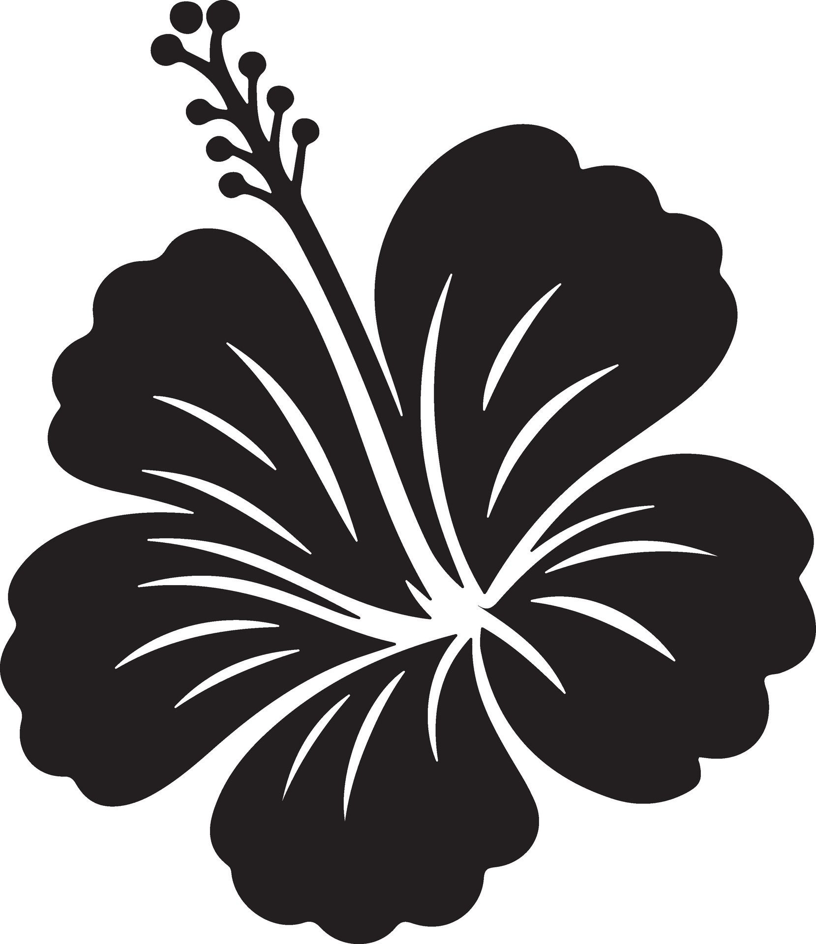 Hibiscus Silhouette Image Free Vector