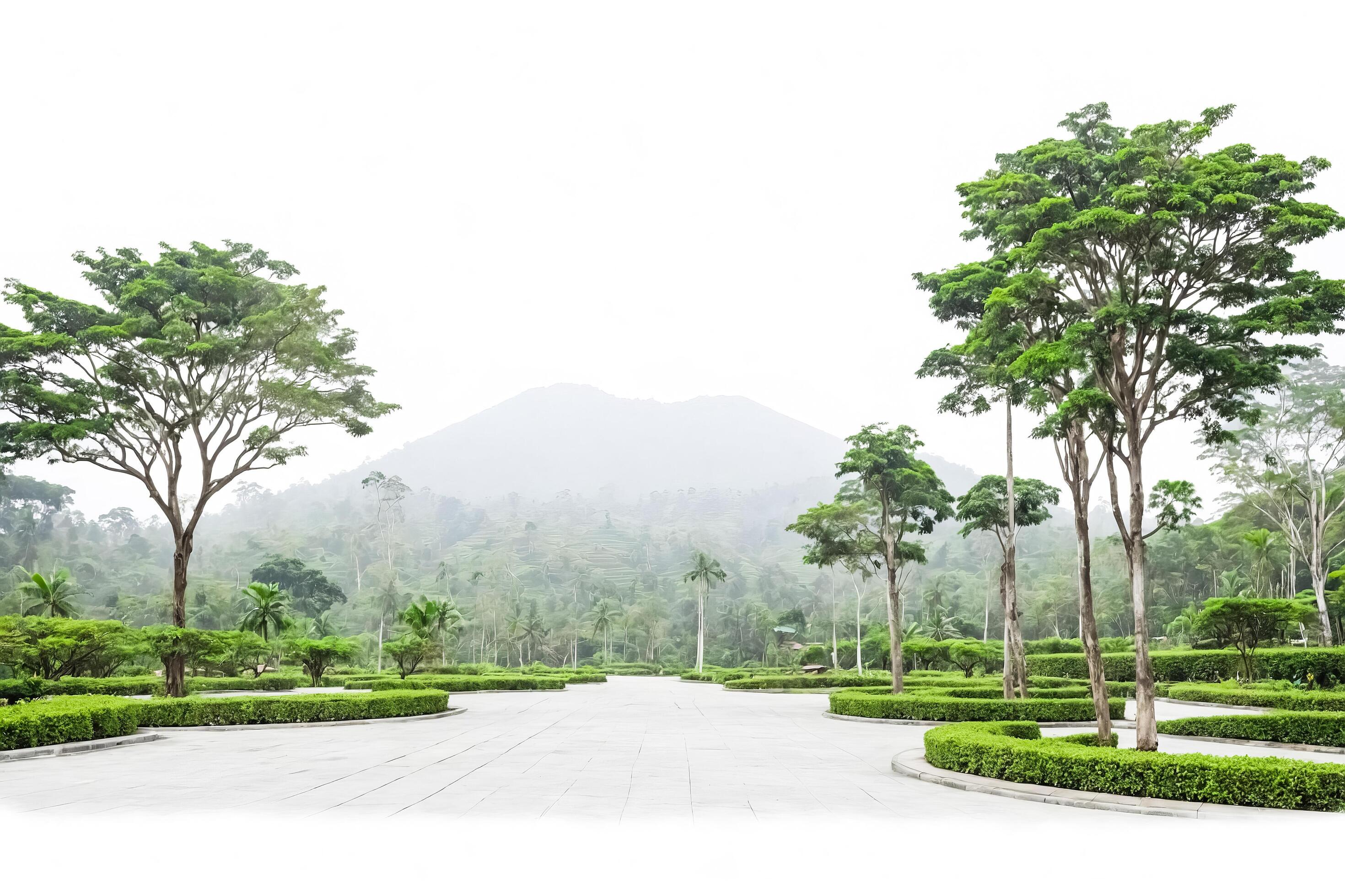 Empty Pathway in a Lush Green Garden with a Mountain in the Background Stock Free