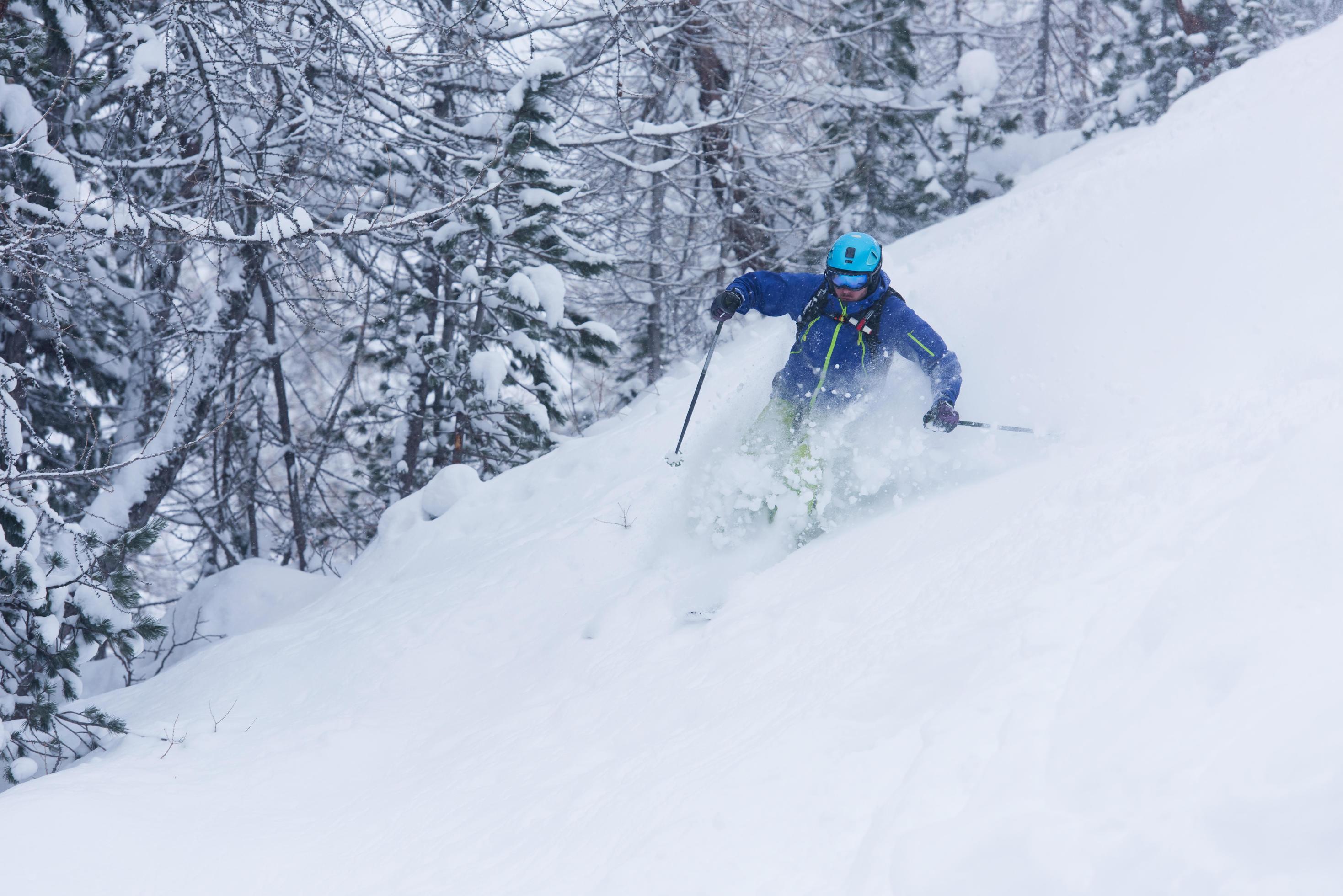 freeride skier skiing in deep powder snow Stock Free